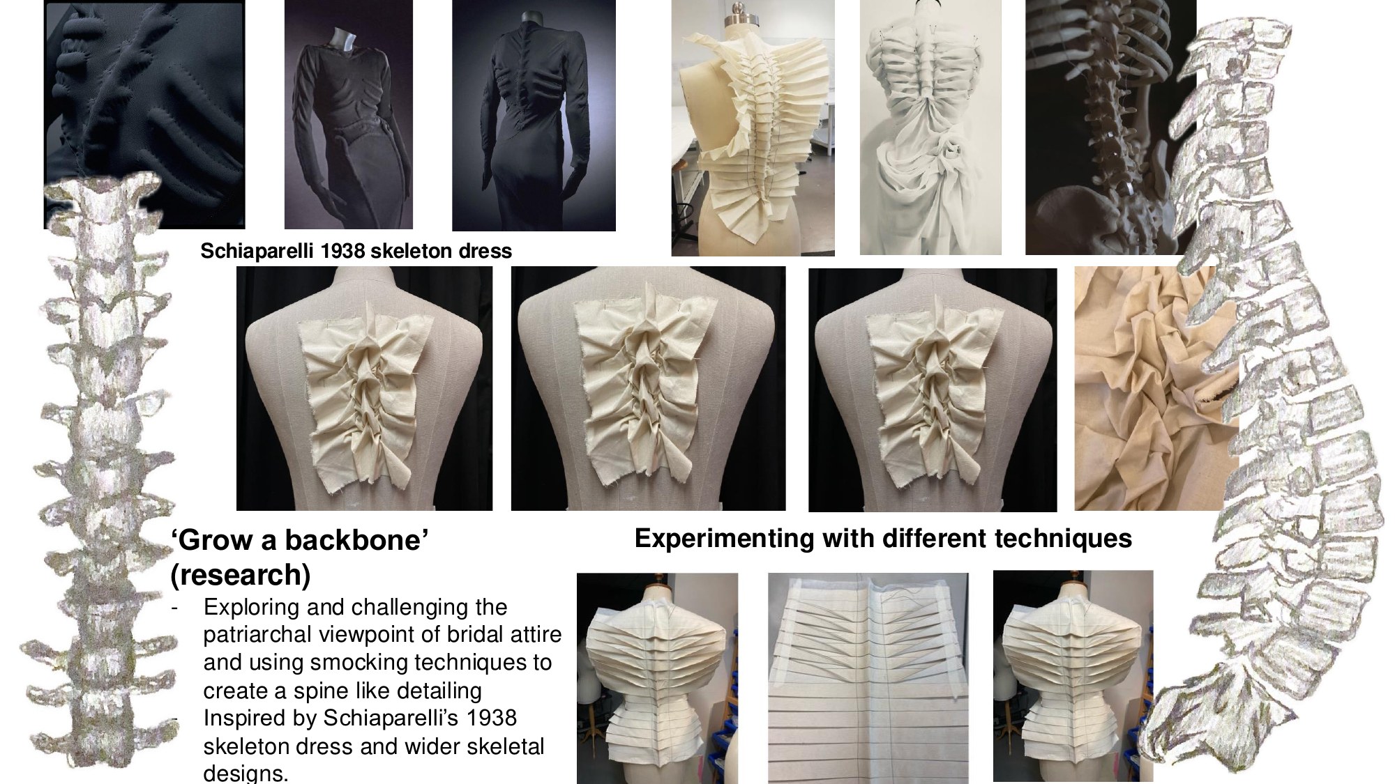 Research and development for Grow a Backbone.