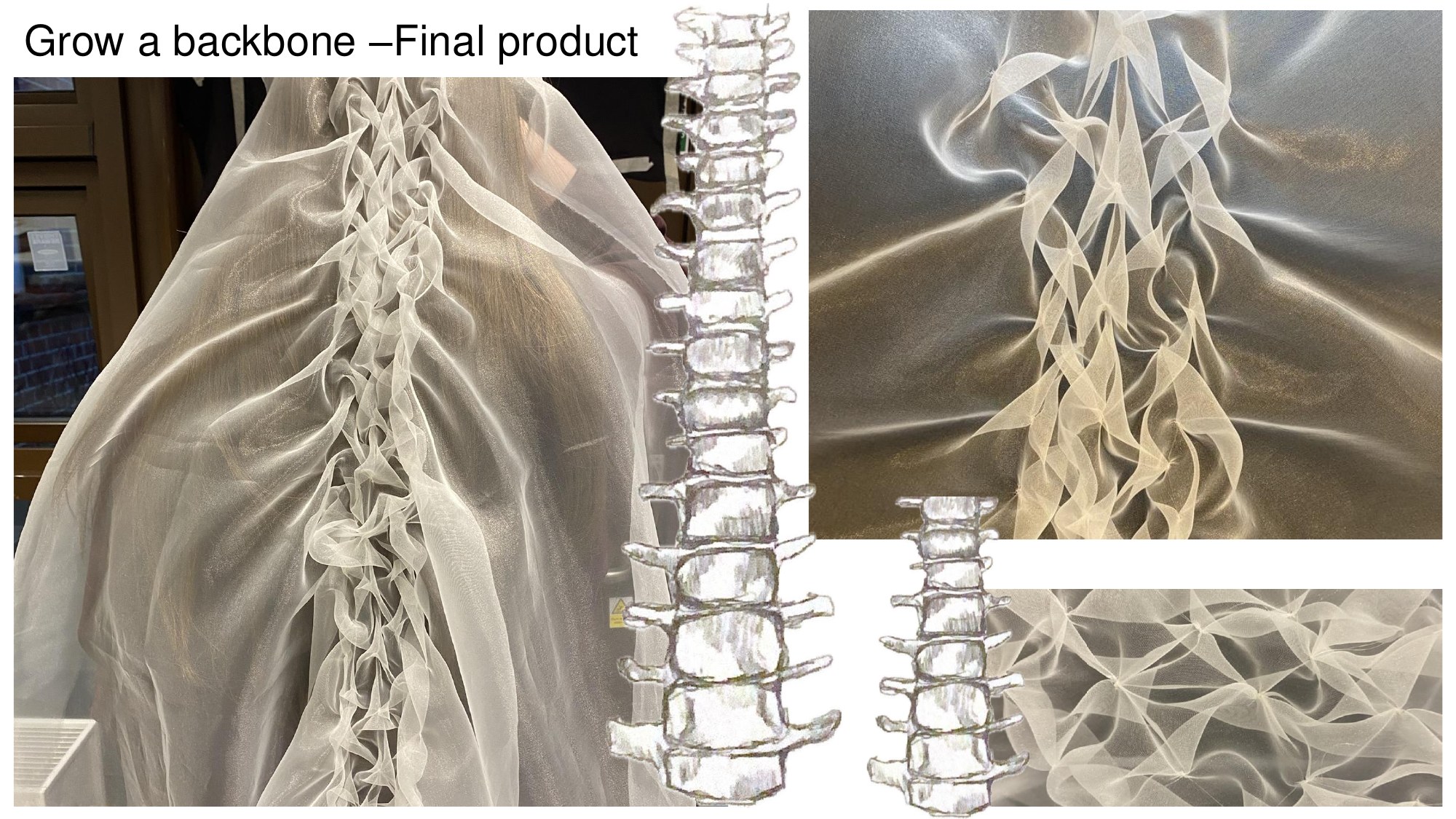 Grow a Backbone final product.